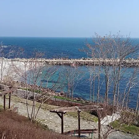 глобал вил 公寓